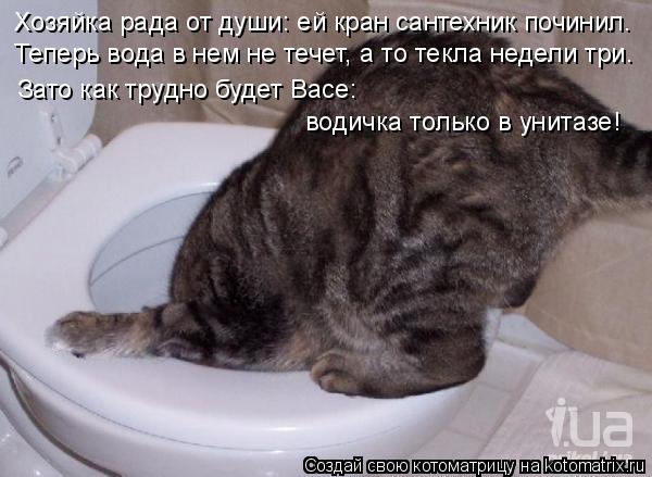 Хозяйка рада от души: ей кран сантехник починил. Теперь вода в нем не течет, а то текла недели три. З... Котоматрица: Хозяйка рада от души: ей кран сантехник починил. Теперь вода в нем не течет, а то текла недели три. Зато как трудно будет Васе: водичка только