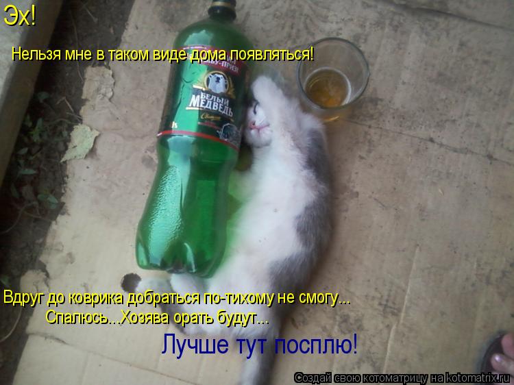 Эх! Нельзя мне в таком виде дома появляться! Вдруг до коврика добраться по-тихому не смогу... Спалюс... Котоматрица: Эх! Нельзя мне в таком виде дома появляться! Вдруг до коврика добраться по-тихому не смогу... Спалюсь...Хозява орать будут... Лучше тут посплю!
