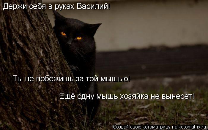 Держи себя в руках Василий! Ещё одну мышь хозяйка не вынесет! Ты не побежишь за той мышью!... Котоматрица: Держи себя в руках Василий! Ещё одну мышь хозяйка не вынесет! Ты не побежишь за той мышью!