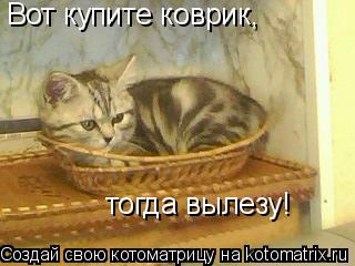 Вот купите коврик, тогда вылезу!... Котоматрица: Вот купите коврик, тогда вылезу!