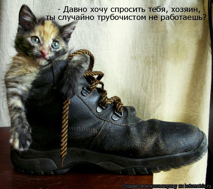 - Давно хочу спросить тебя, хозяин, ты случайно трубочистом не работаешь?... Котоматрица: - Давно хочу спросить тебя, хозяин, ты случайно трубочистом не работаешь?
