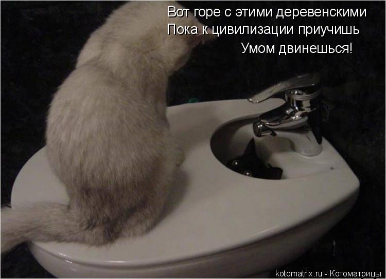 Вот горе с этими деревенскими Пока к цивилизации приучишь Умом двинешься!... Котоматрица: Вот горе с этими деревенскими Пока к цивилизации приучишь Умом двинешься!