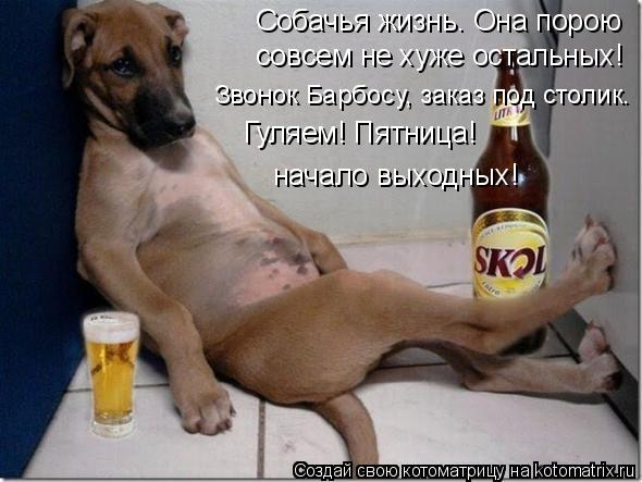 Собачья жизнь. Она порою совсем не хуже остальных! Звонок Барбосу, заказ под столик. Гуляем! Пятница... Котоматрица: Собачья жизнь. Она порою совсем не хуже остальных! Звонок Барбосу, заказ под столик. Гуляем! Пятница! начало выходных!