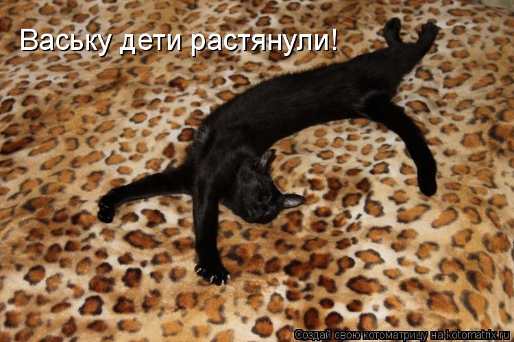 Ваську дети растянули!... Котоматрица: Ваську дети растянули!