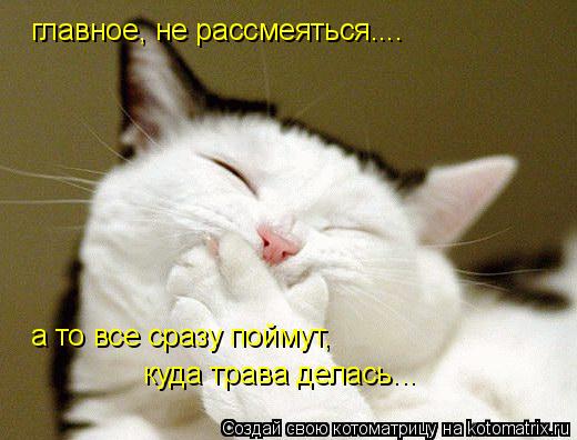 Котоматрица: главное, не рассмеяться.... а то все сразу поймут, куда трава делась...