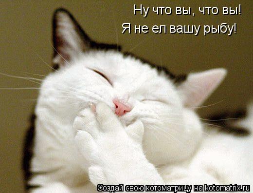 Котоматрица: Ну что вы, что вы! Я не ел вашу рыбу!