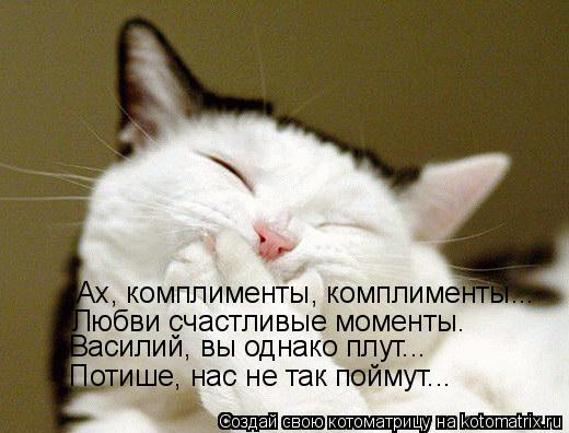 Котоматрица: Ах, комплименты, комплименты... Любви счастливые моменты. Василий, вы однако плут... Потише, нас не так поймут...