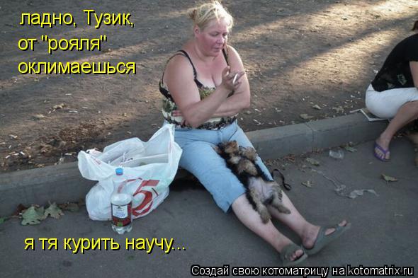 Котоматрица: ладно, Тузик, от "рояля" оклимаешься я тя курить научу...
