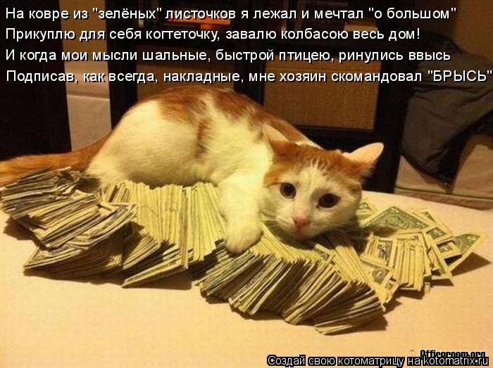 На ковре из "зелёных" листочков я лежал и мечтал "о большом" Прикуплю для себя когтеточку, завалю ко... Котоматрица: На ковре из "зелёных" листочков я лежал и мечтал "о большом" Прикуплю для себя когтеточку, завалю колбасою весь дом! Подписав, как всегда, на