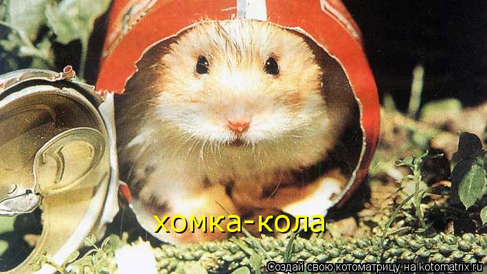 Котоматрица: хомка-кола