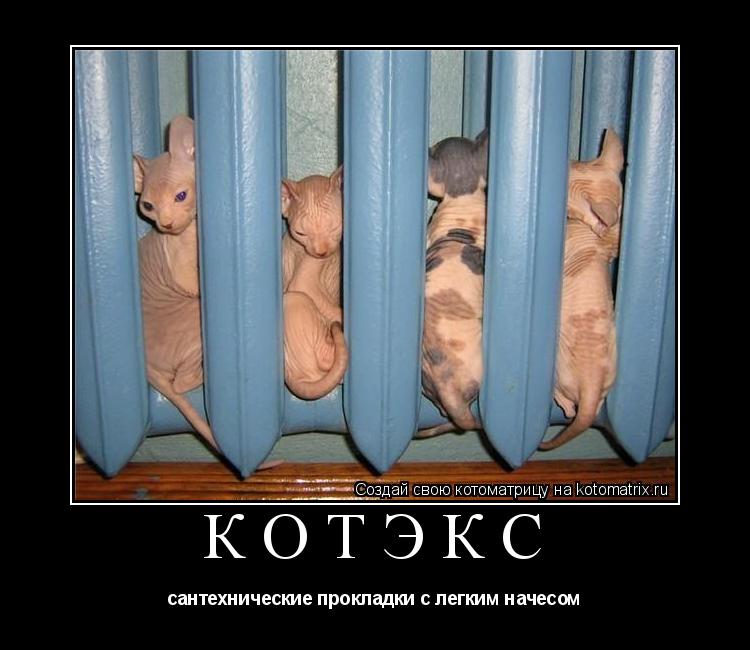Котоматрица: КОТЭКС сантехнические прокладки с легким начесом