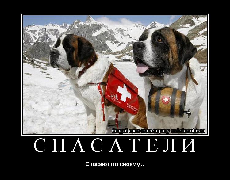 Котоматрица: СПАСАТЕЛИ Спасают по своему...