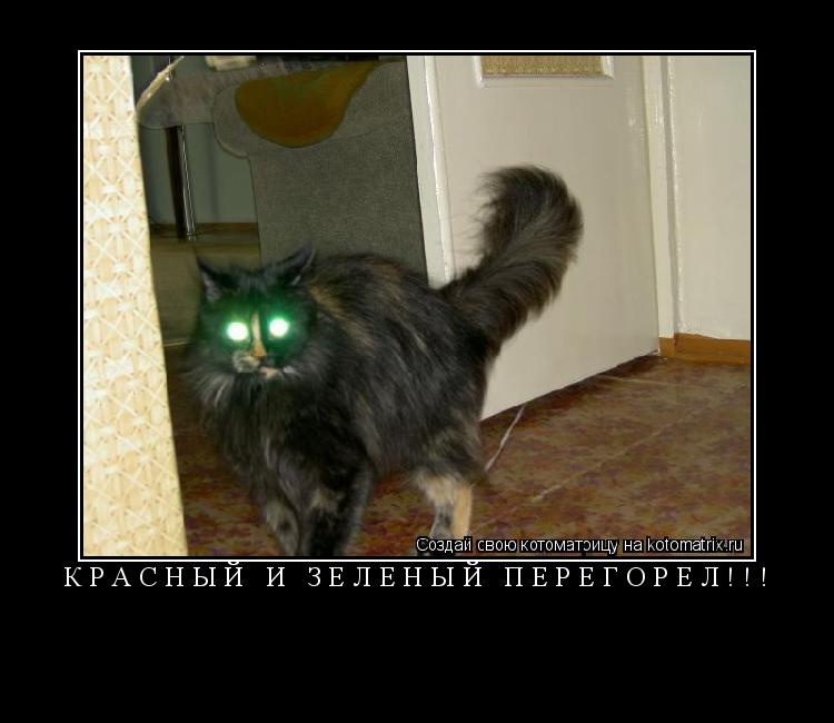 красный и зеленый перегорел!!! ... Котоматрица: красный и зеленый перегорел!!!