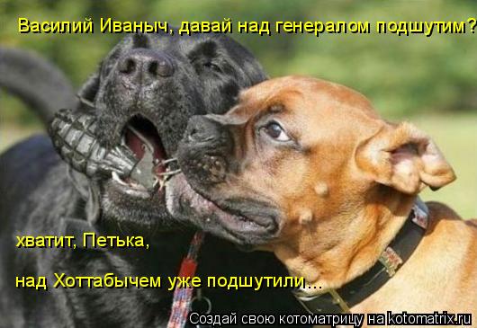 Котоматрица: Василий Иваныч, давай над генералом подшутим? хватит, Петька, над Хоттабычем уже подшутили...