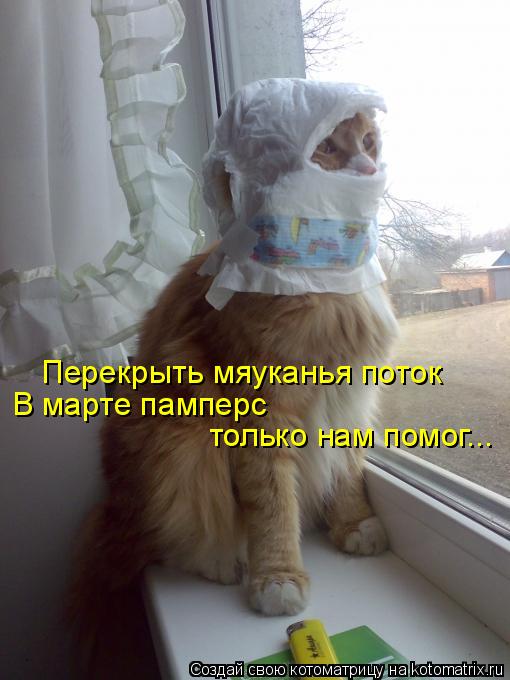 Перекрыть мяуканья поток В марте памперс только нам помог...... Котоматрица: Перекрыть мяуканья поток В марте памперс только нам помог...
