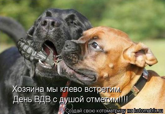 Хозяина мы клево встретим. День ВДВ с душой отметим!!!!... Котоматрица: Хозяина мы клево встретим. День ВДВ с душой отметим!!!!