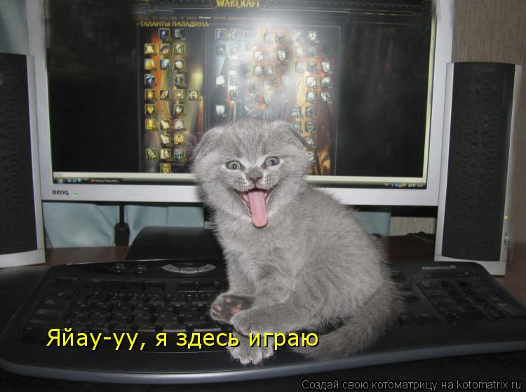 Яйау-уу, я здесь играю... Котоматрица: Яйау-уу, я здесь играю