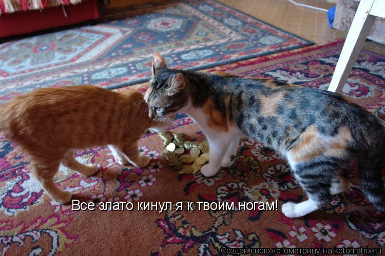 Все злато кинул я к твоим ногам!... Котоматрица: Все злато кинул я к твоим ногам!