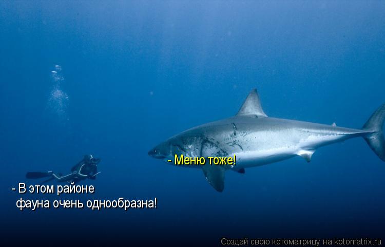 - В этом районе фауна очень однообразна! - Меню тоже!... Котоматрица: - В этом районе фауна очень однообразна! - Меню тоже!