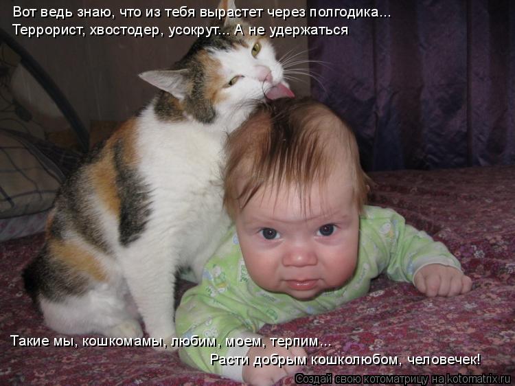 Вот ведь знаю, что из тебя вырастет через полгодика... Террорист, хвостодер, усокрут... А не удержат... Котоматрица: Вот ведь знаю, что из тебя вырастет через полгодика... Террорист, хвостодер, усокрут... А не удержаться Расти добрым кошколюбом, человечек! Та