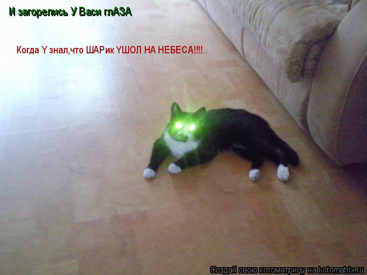 Котоматрица: И загорелись У Васи глАЗА И загорелись У Васи глАЗА Когда Y знал,что ШАРик YШOЛ HA HEБECA!!!!