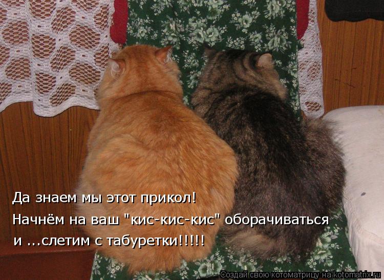 Да знаем мы этот прикол! Начнём на ваш "кис-кис-кис" оборачиваться и ...слетим с табуретки!!!!!... Котоматрица: Да знаем мы этот прикол! Начнём на ваш "кис-кис-кис" оборачиваться и ...слетим с табуретки!!!!!