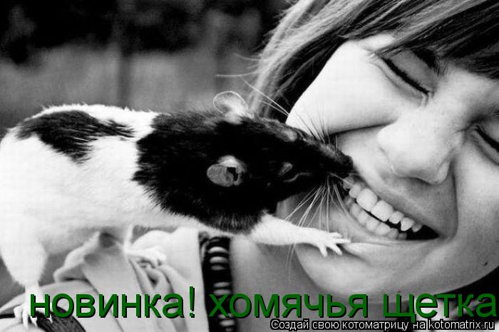 Котоматрица: новинка! хомячья щетка
