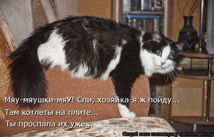 Котоматрица: Мяу-мяушки-мяУ! Спи, хозяйка-я ж пойду... Там котлеты на плите... Ты проспала их уже...