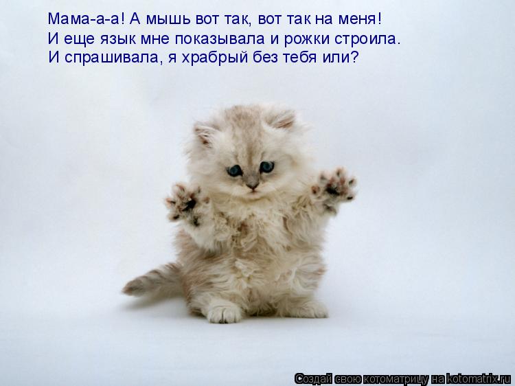 Котоматрица: Мама-а-а! А мышь вот так, вот так на меня! И еще язык мне показывала и рожки строила. И спрашивала, я храбрый без тебя или?
