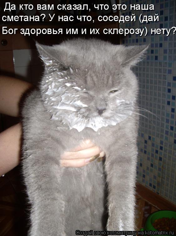 Да кто вам сказал, что это наша сметана? У нас что, соседей (дай Бог здоровья им и их склерозу) нет... Котоматрица: Да кто вам сказал, что это наша сметана? У нас что, соседей (дай Бог здоровья им и их склерозу) нету?