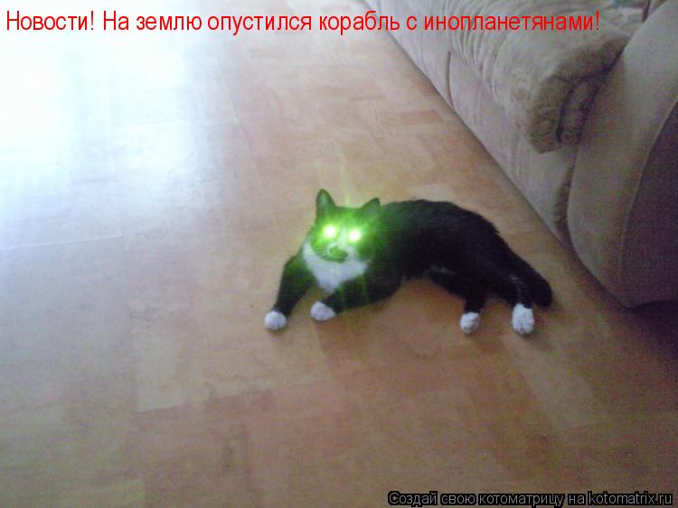 Котоматрица: Новости! На землю опустился корабль с инопланетянами!