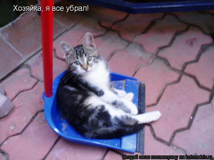 Котоматрица: Хозяйка, я все убрал!