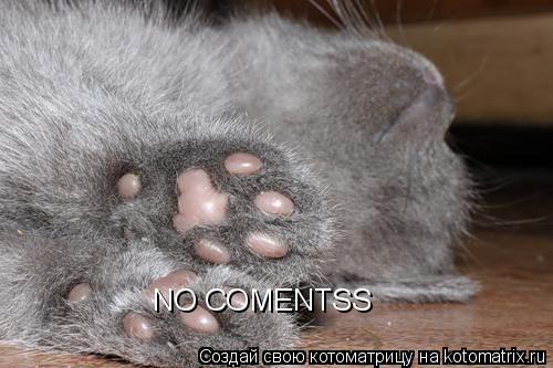 Котоматрица: NO COMENTSS