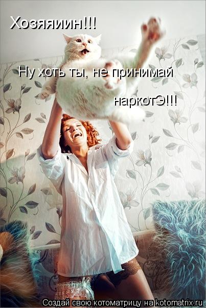 Котоматрица: Хозяяиин!!! Ну хоть ты, не принимай наркотЭ!!!