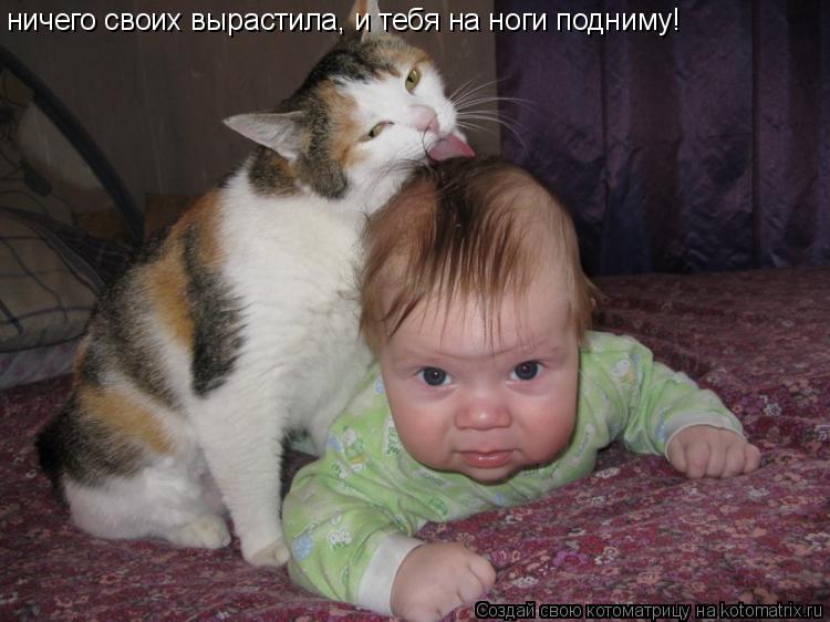 Котоматрица: ничего своих вырастила, и тебя на ноги подниму!