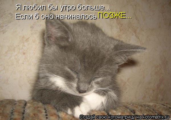 Котоматрица: Я любил бы утро больше... Если б оно начиналось  ПОЗЖЕ...
