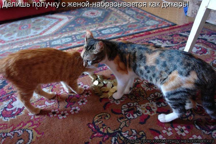 Котоматрица: Делишь получку с женой-набрасывается как дикарь!