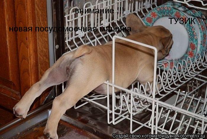 внимание !!! новая посудомоечная машина ТУЗИК... Котоматрица: внимание !!! новая посудомоечная машина ТУЗИК