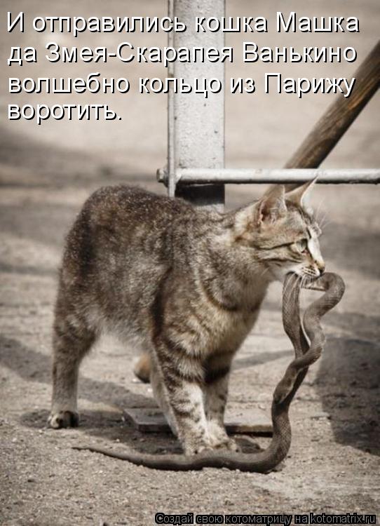 И отправились кошка Машка да Змея-Скарапея Ванькино волшебно кольцо из Парижу воротить.... Котоматрица: И отправились кошка Машка да Змея-Скарапея Ванькино волшебно кольцо из Парижу воротить.
