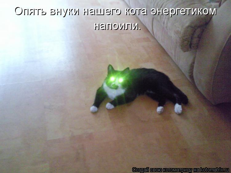 Опять внуки нашего кота энергетиком напоили.... Котоматрица: Опять внуки нашего кота энергетиком напоили.