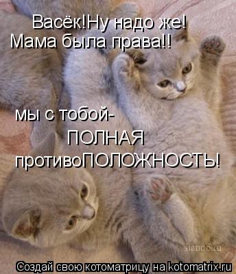 Васёк!Ну надо же! Мама была права!! мы с тобой- ПОЛНАЯ противоПОЛОЖНОСТЬ!... Котоматрица: Васёк!Ну надо же! Мама была права!! мы с тобой- ПОЛНАЯ противоПОЛОЖНОСТЬ!