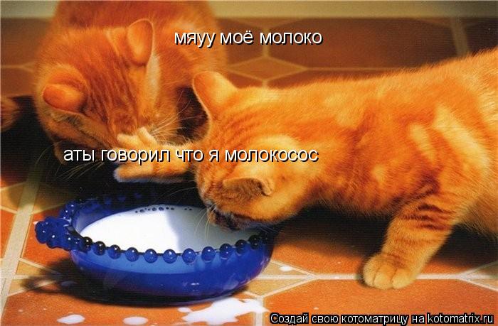 мяуу моё молоко аты говорил что я молокосос... Котоматрица: мяуу моё молоко аты говорил что я молокосос