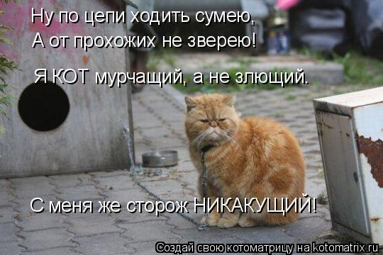 Ну по цепи ходить сумею, А от прохожих не зверею! Я КОТ мурчащий, а не злющий. С меня же сторож НИКАК... Котоматрица: Ну по цепи ходить сумею, А от прохожих не зверею! Я КОТ мурчащий, а не злющий. С меня же сторож НИКАКУЩИЙ!