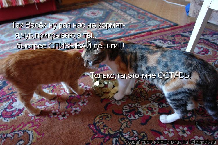 Так,Васёк,ну раз нас не кормят- я,чур,прикрываю,а ты.. быстрее СЛИЗЫВАЙ деньги!!! Только,ты,это-мне О... Котоматрица: Так,Васёк,ну раз нас не кормят- я,чур,прикрываю,а ты.. быстрее СЛИЗЫВАЙ деньги!!! Только,ты,это-мне ОСТАВЬ!