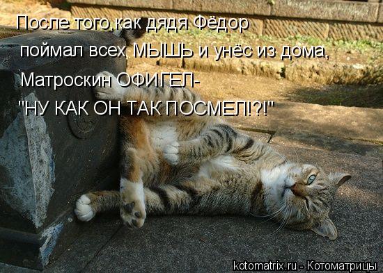 После того,как дядя Фёдор поймал всех МЫШЬ и унёс из дома, Матроскин ОФИГЕЛ- "НУ КАК ОН ТАК ПОСМЕЛ!?... Котоматрица: После того,как дядя Фёдор поймал всех МЫШЬ и унёс из дома, Матроскин ОФИГЕЛ- "НУ КАК ОН ТАК ПОСМЕЛ!?!"