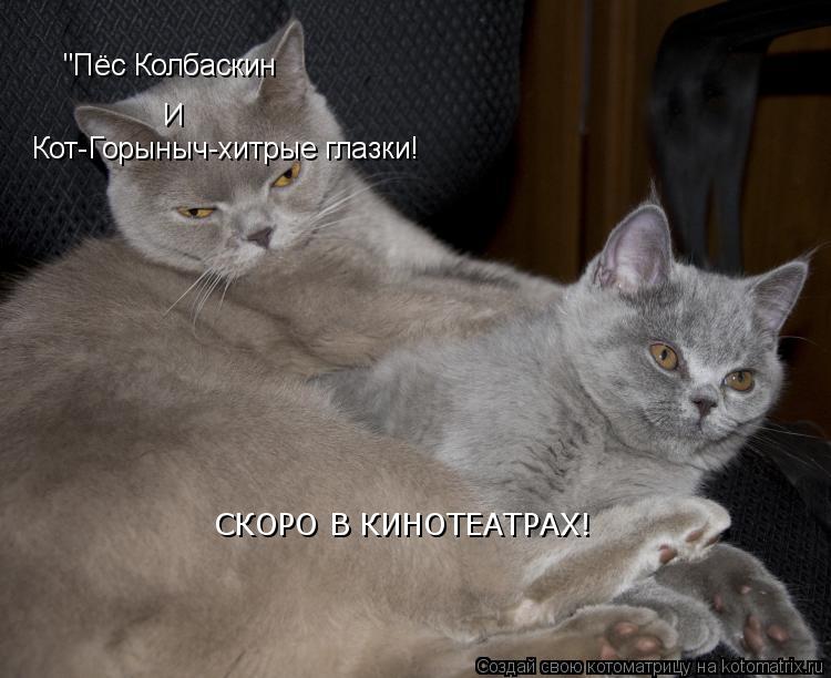 "Пёс Колбаскин И Кот-Горыныч-хитрые глазки! СКОРО В КИНОТЕАТРАХ!... Котоматрица: "Пёс Колбаскин И Кот-Горыныч-хитрые глазки! СКОРО В КИНОТЕАТРАХ!