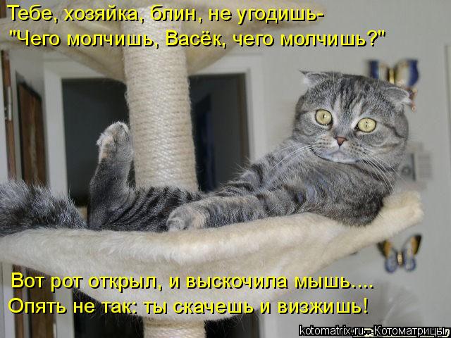 Тебе, хозяйка, блин, не угодишь- Вот рот открыл, и выскочила мышь.... Опять не так: ты скачешь и визж... Котоматрица: Тебе, хозяйка, блин, не угодишь- Вот рот открыл, и выскочила мышь.... Опять не так: ты скачешь и визжишь! "Чего молчишь, Васёк, чего молчишь?"