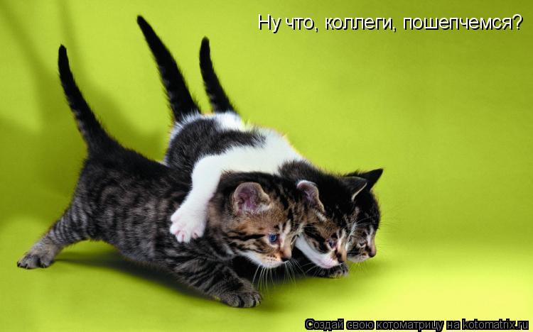 Ну что, коллеги, пошепчемся?... Котоматрица: Ну что, коллеги, пошепчемся?