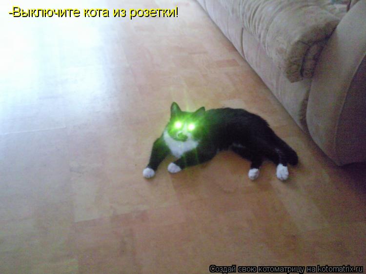 -Выключите кота из розетки!... Котоматрица: -Выключите кота из розетки!