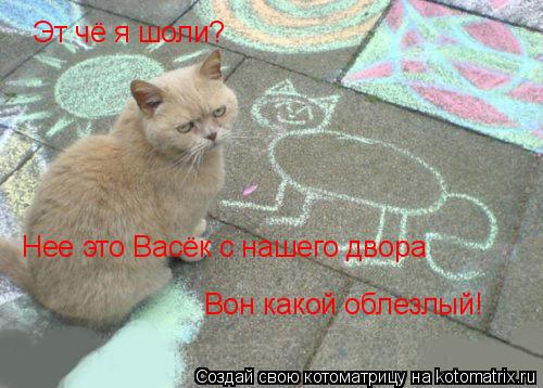 Эт чё я шоли? Нее это Васёк с нашего двора Вон какой облезлый!... Котоматрица: Эт чё я шоли? Нее это Васёк с нашего двора Вон какой облезлый!